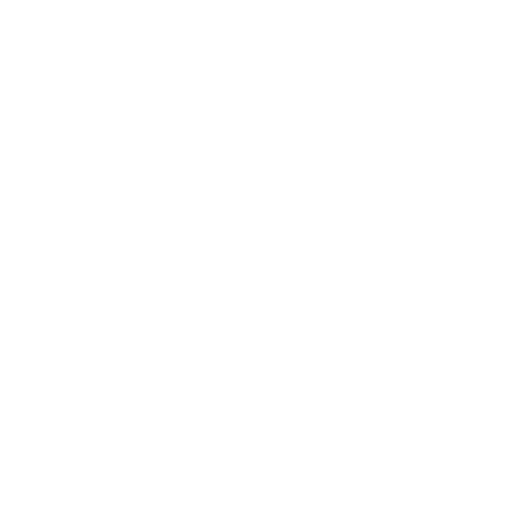 Renaissance Academy of Martial Arts